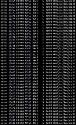 201701040837-155383060013-1.jpg