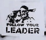 201703020755-157913639388-0.jpg